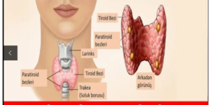 Tiroid bozukluğunun 14 belirtisi
