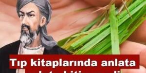Beyinde ve damardaki tıkanıklığını geçiren tek besin!