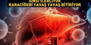 Şimdiye Kadar Öğrenseydik Ozaman Hiç Yemezdik..