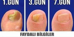 Bu iki ürünün içindeki mantar..