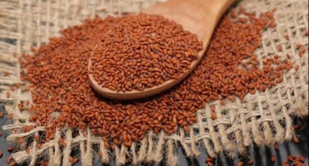 Ciğerleri tertemiz yapıyor Adeta bir akciğerin doktoru…