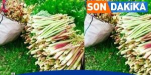 Türkiye de üretilmeye başladı. Doktorlar ve Profesör’ler Açıklamayı Yaptı!..