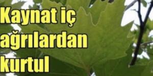 Not edin bir gün lazim olabilir.