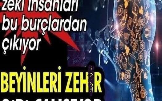 Bu burçlar çok çok akıllı çıktı!