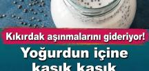 Kıkırdak aşınmalarını gideriyor! Yoğurdun içine kaşık kaşık ekleyin:
